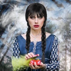 Long Black Braids Wig with Bangs